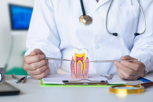 Best Walk-In Emergency Dentist in Nevada, MO